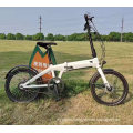 Folding E Bike/Foldable Electric Bicycle 36V Motor Life Electric Bike Folding